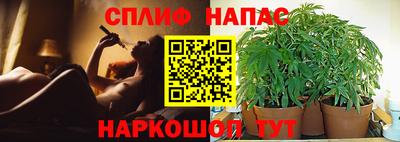 apvp Будённовск