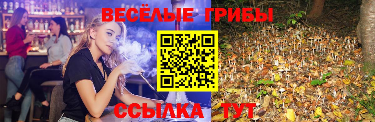 Михайловск  Псилоцибиновые грибы GOLDEN TEACHER  Вход с VPN 